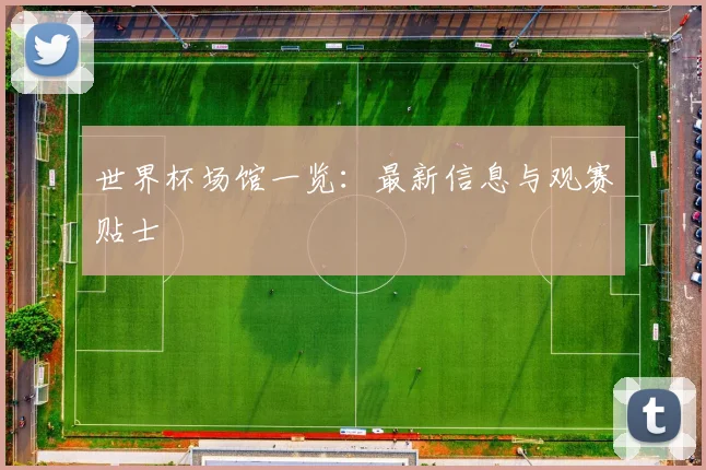 世界杯场馆一览:最新信息与观赛贴士